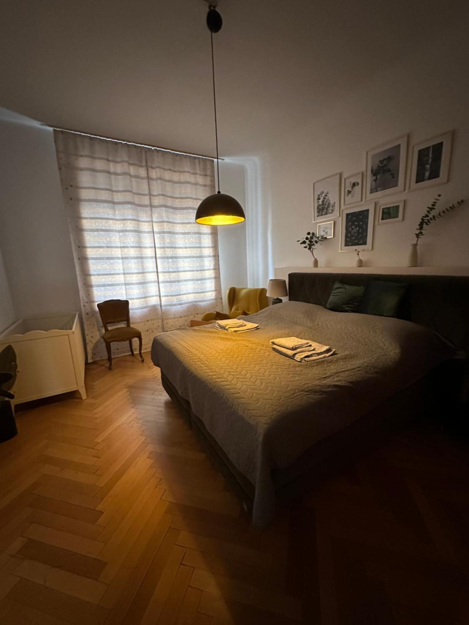 Big Vintage Style Flat Near Schönbrunn Lägenhet Wien Exteriör bild